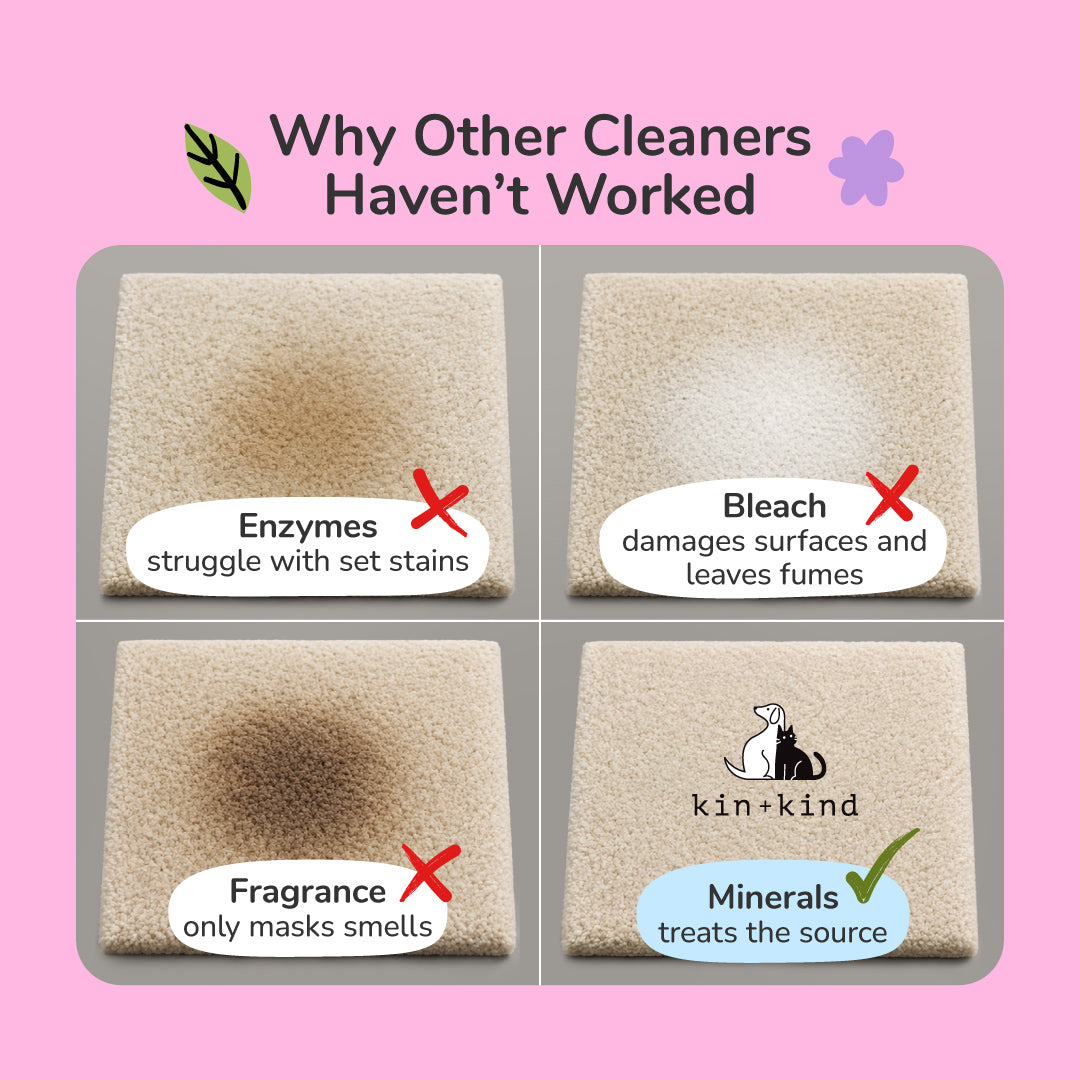 Pee+Stain+Odor Destroyer | Fabric+Carpet (Floral)