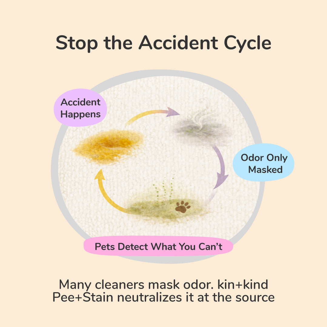 Pee+Stain+Odor Destroyer | Hardwood+Floor (Citrus)