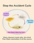 Pee+Stain+Odor Destroyer | Multi-Surface (Citrus)