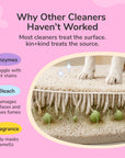 Stain & Odor Fabric & Carpet Mini Spray