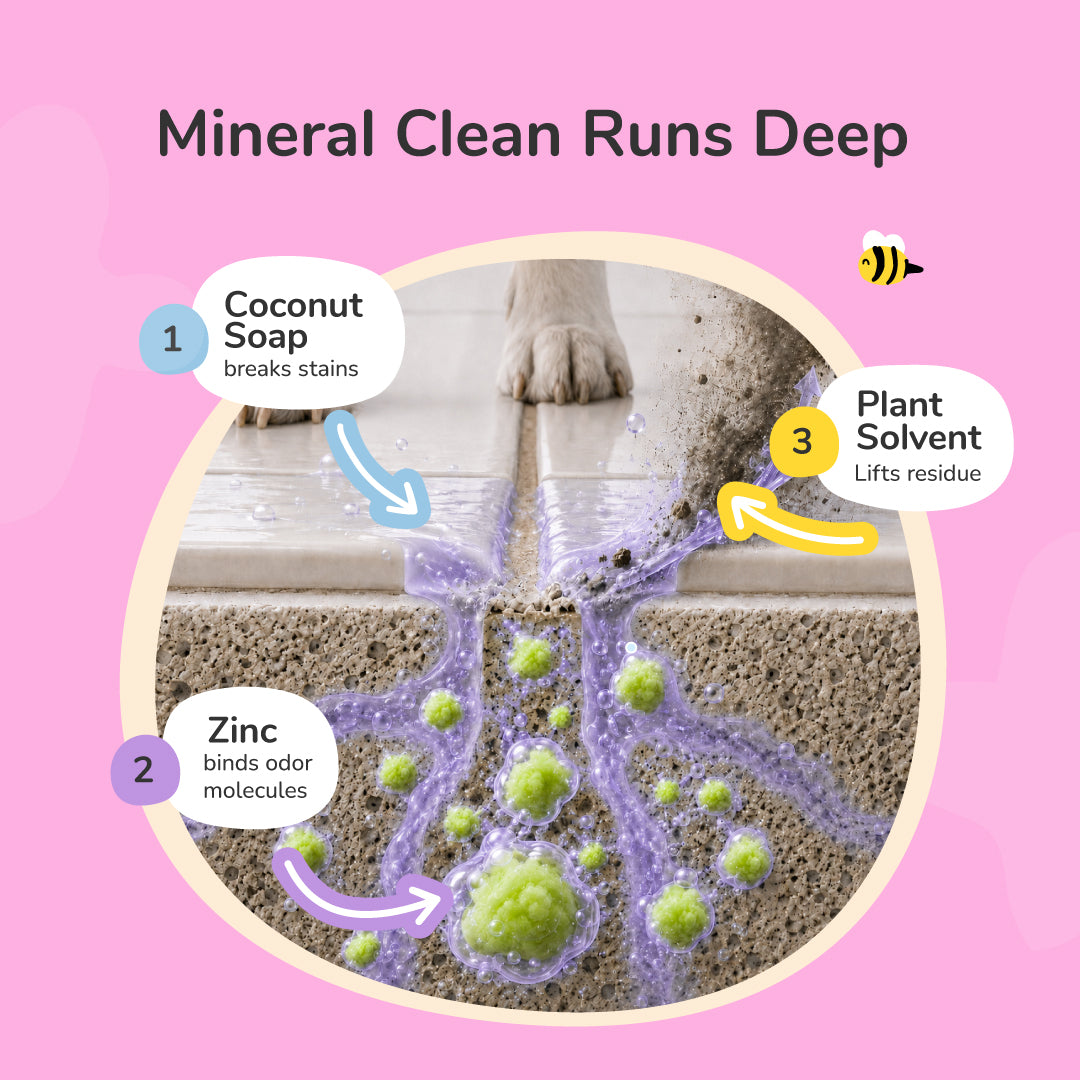 Pee+Stain+Odor Destroyer | Multi-Surface (Citrus)