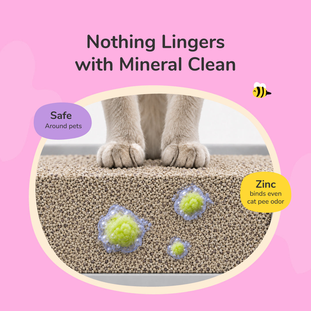 Cat Pee+Odor Destroyer | Kitty Litter (Floral)