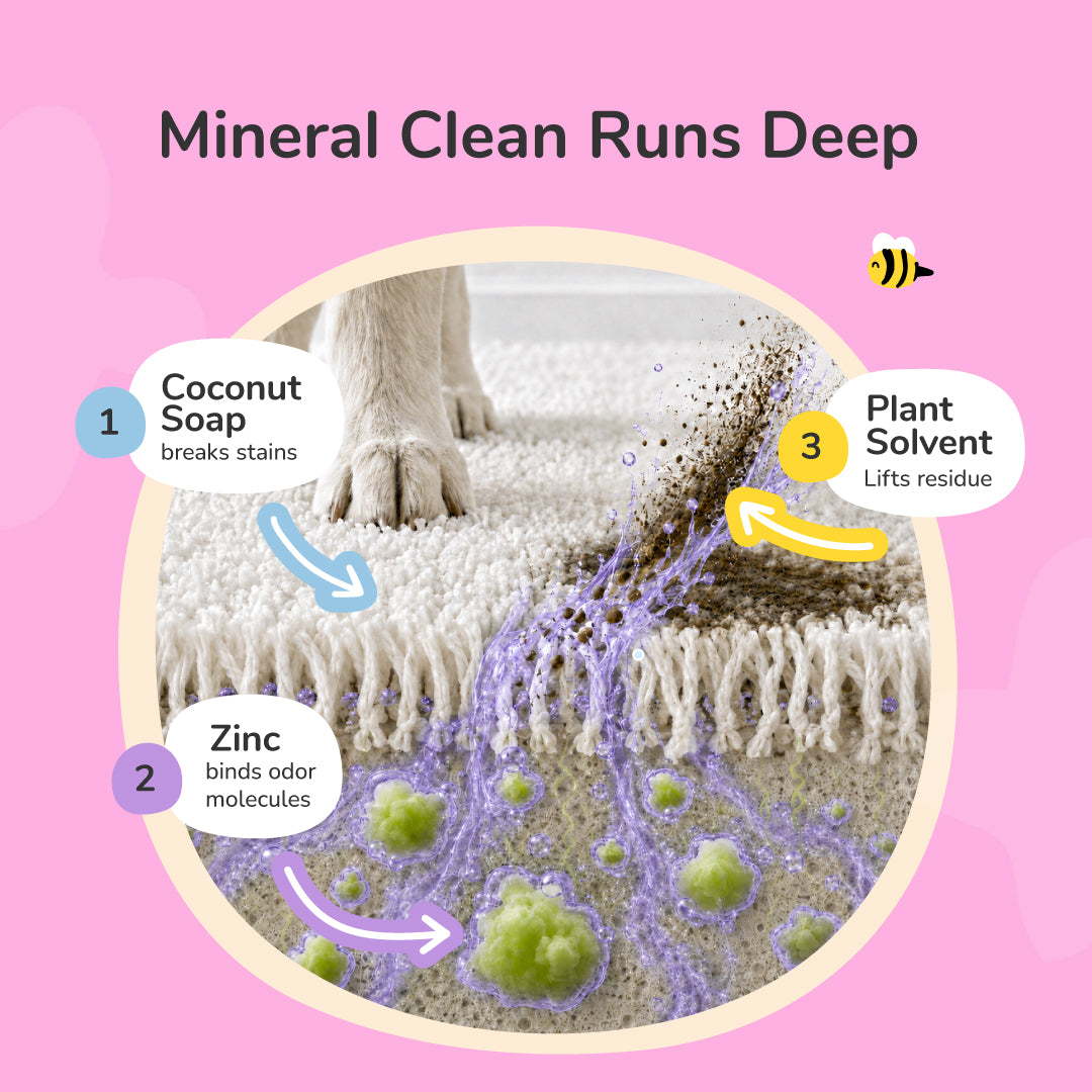 Pee+Stain+Odor Destroyer | Fabric+Carpet (Floral)
