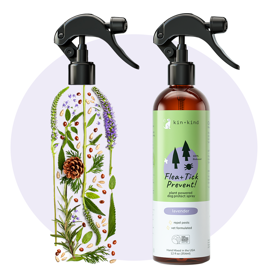 Flea Tick Protect Spray Lavender kin kind Natural Organic Pet Grooming Wellness