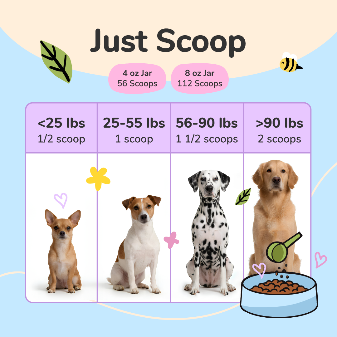 Healthy Poops Supplement