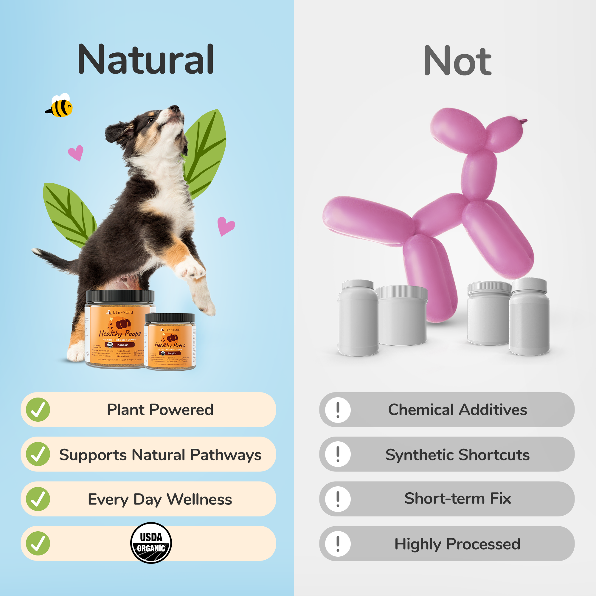 Healthy Poops Supplement