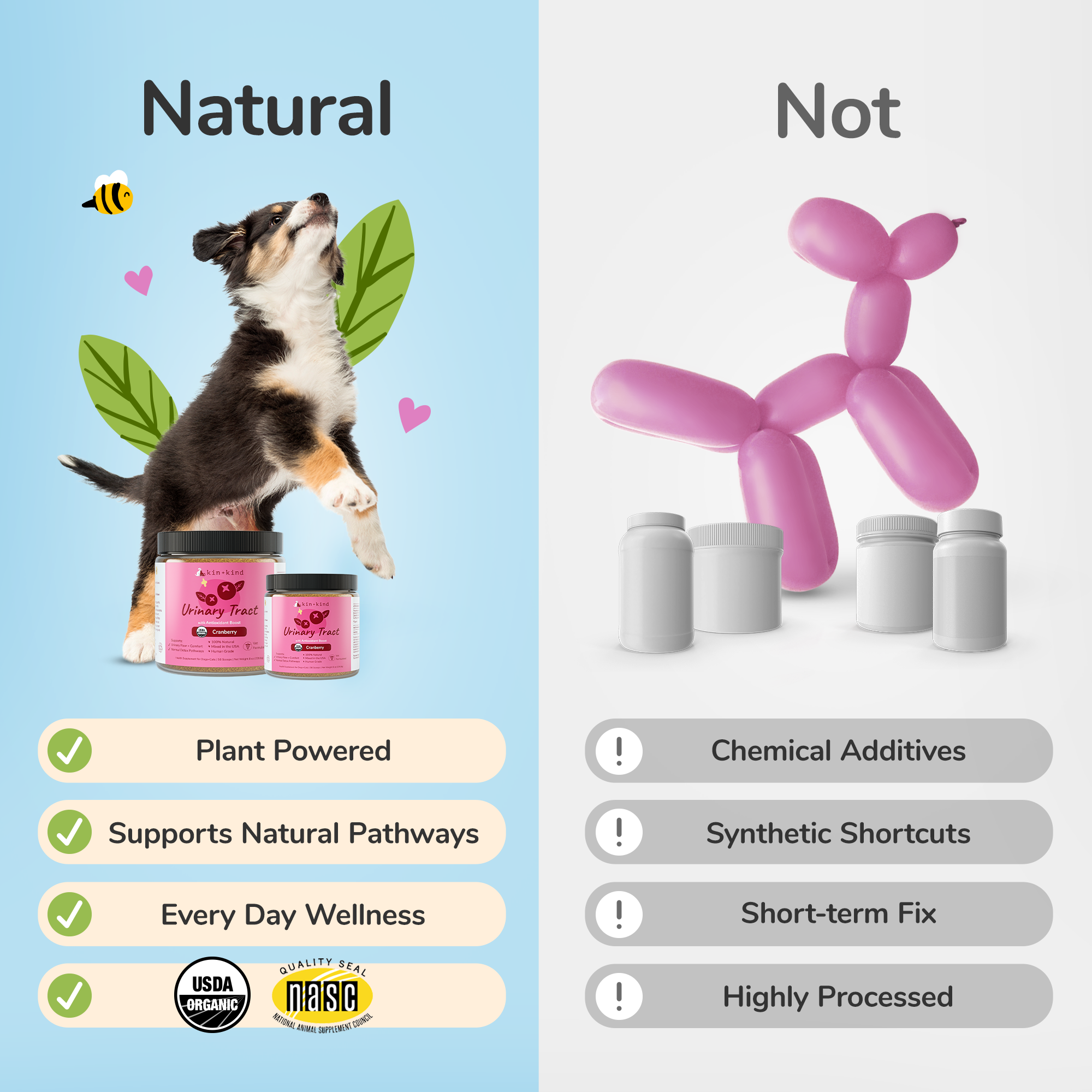 Healthy Immunity Supplement