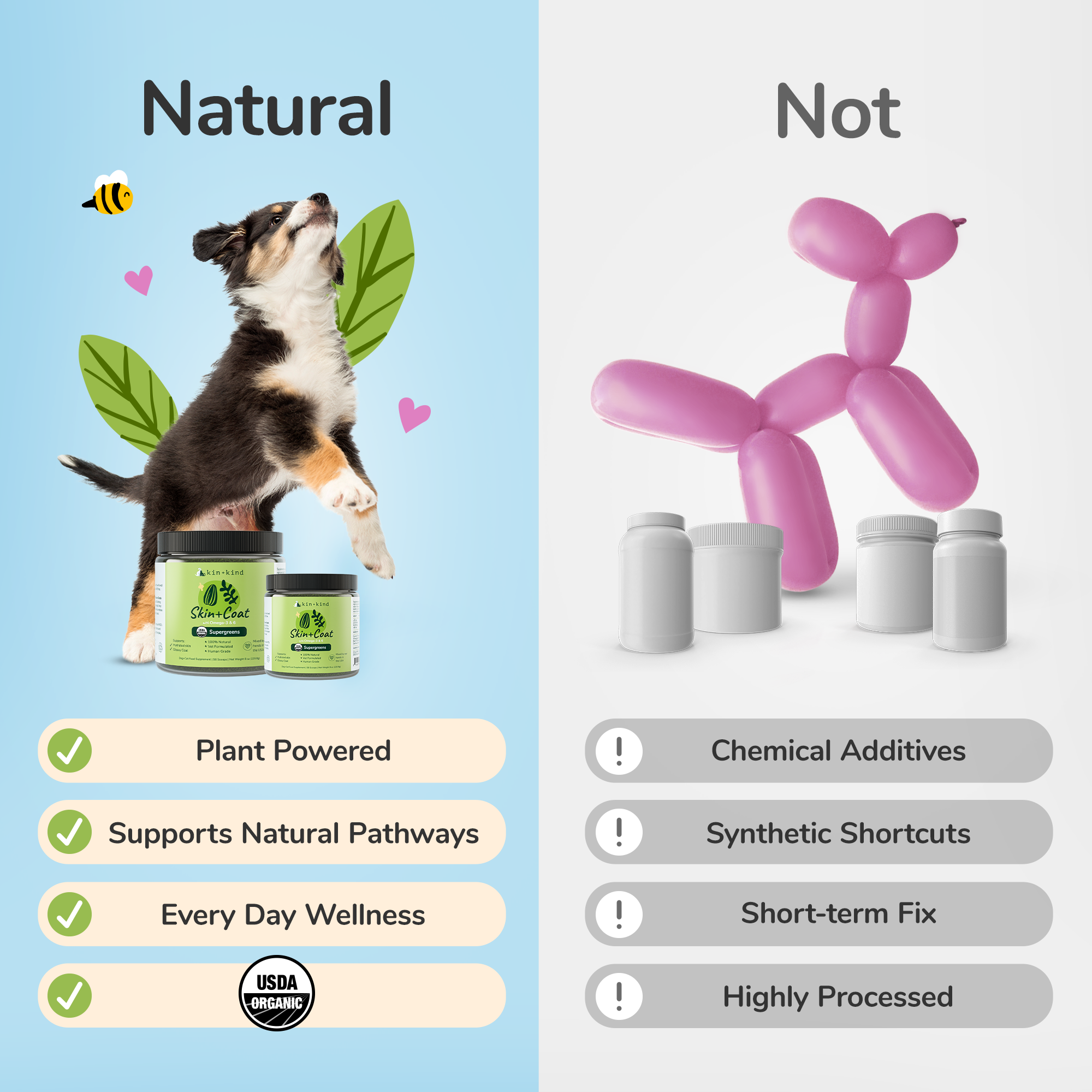 Healthy Skin+Coat Supplement