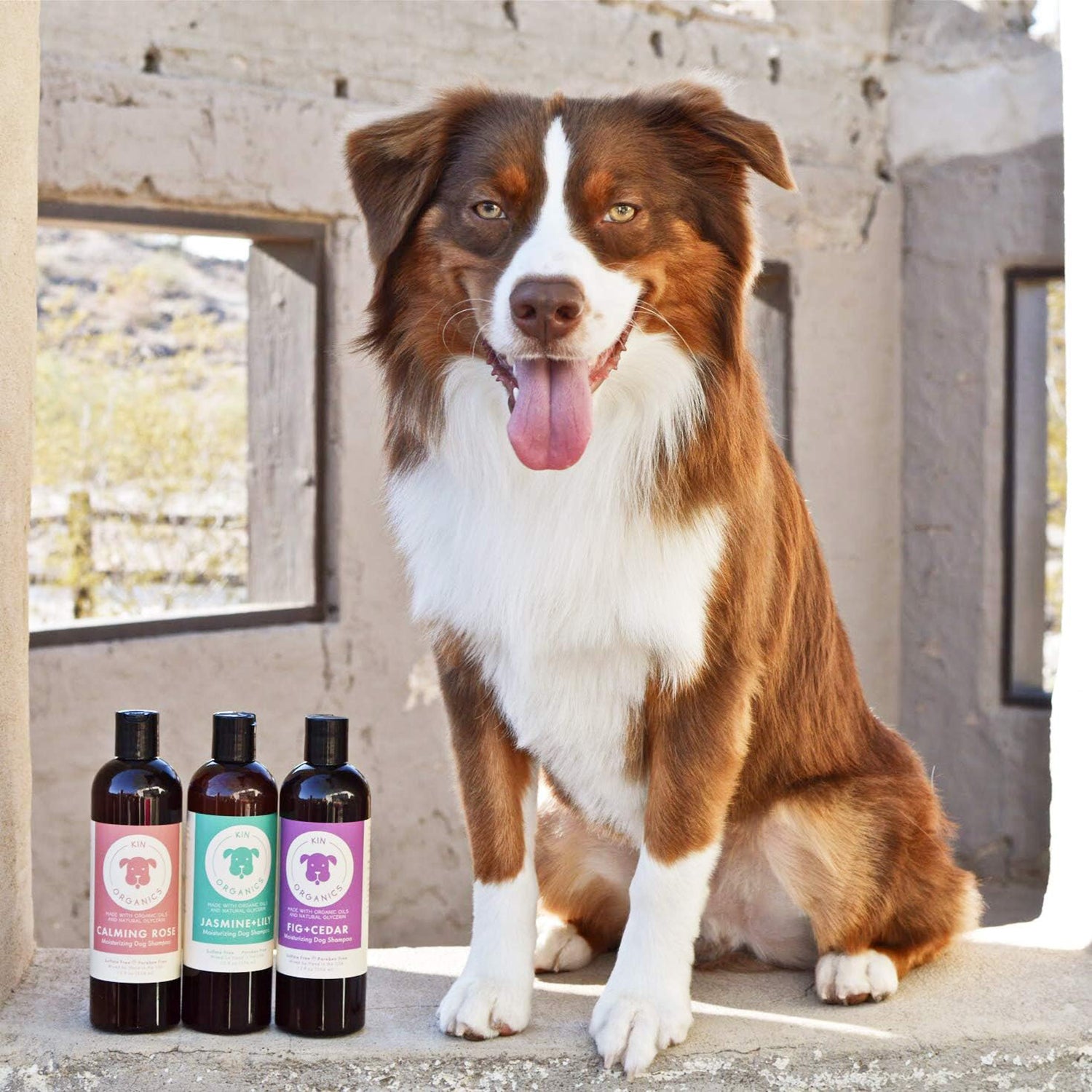 KIN ORGANICS Sweet Blossom Oatmeal Itchy Dog Shampoo kin kind Natural Organic Pet Grooming Wellness