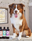 KIN ORGANICS Fig+Cedar (Oatmeal Itchy Dog Shampoo)