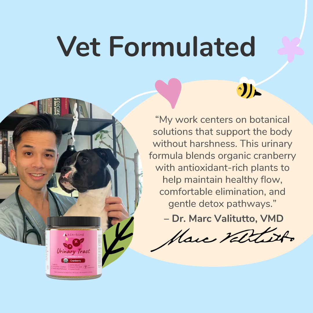 Healthy Immunity Supplement