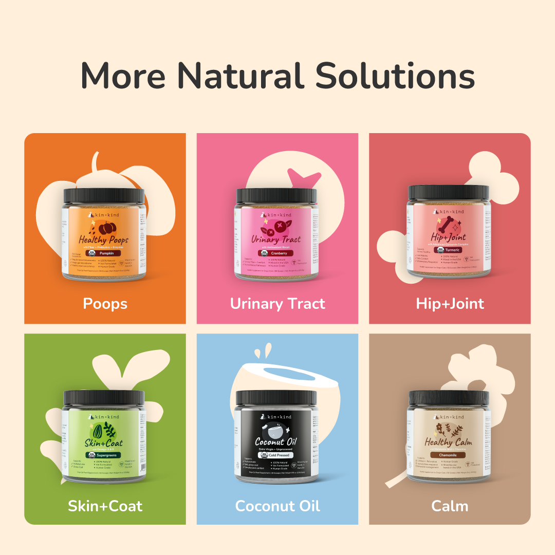 Healthy Immunity Supplement