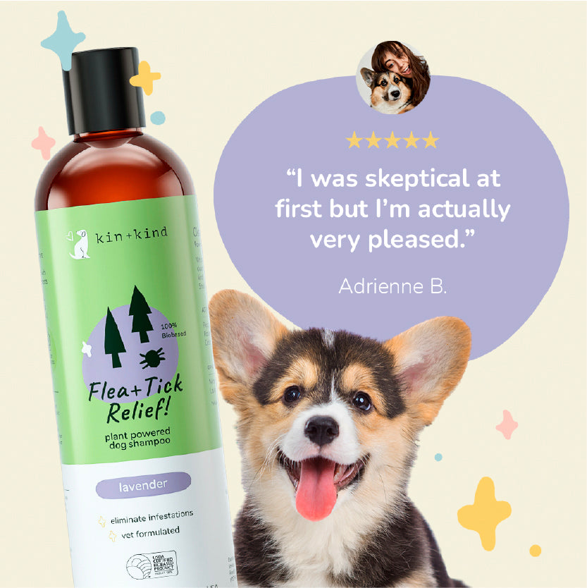 Kin and kind shop flea and tick