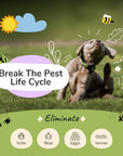 Flea|Tick Shampoo  (Lavender)
