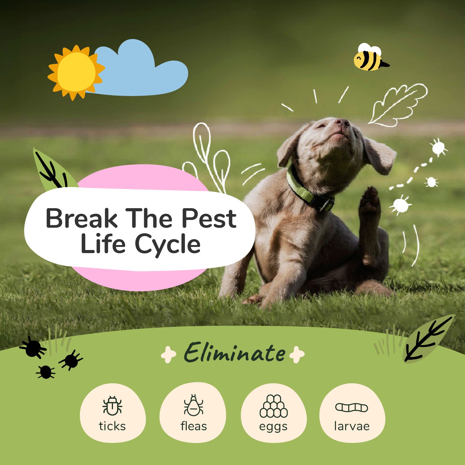 Flea|Tick Shampoo  (Lemongrass)