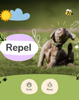 Flea|Tick Protect Spray (Lavender)