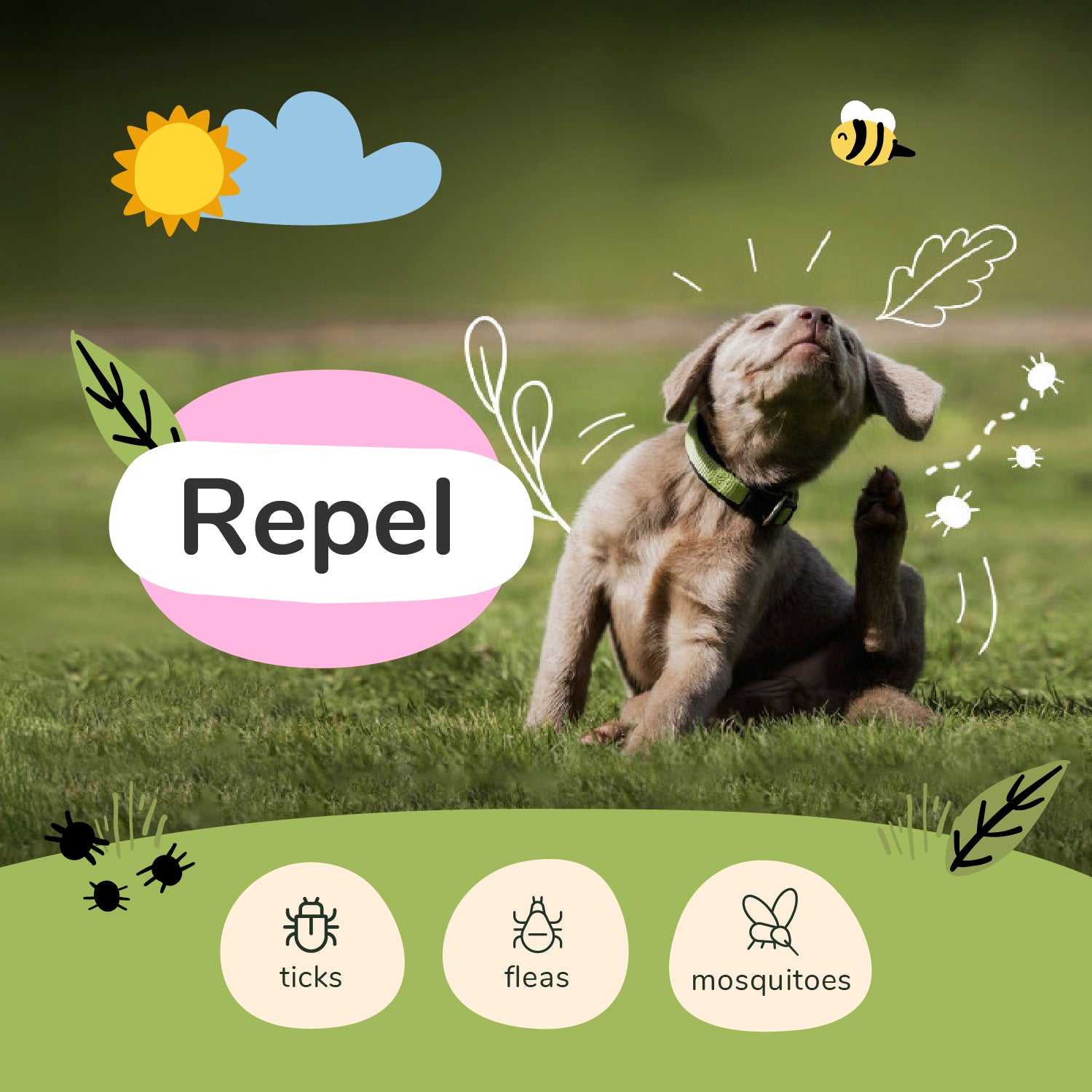 Flea|Tick Protect Spray (Lemongrass)