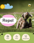 Flea|Tick Protect Spray (Lemongrass)