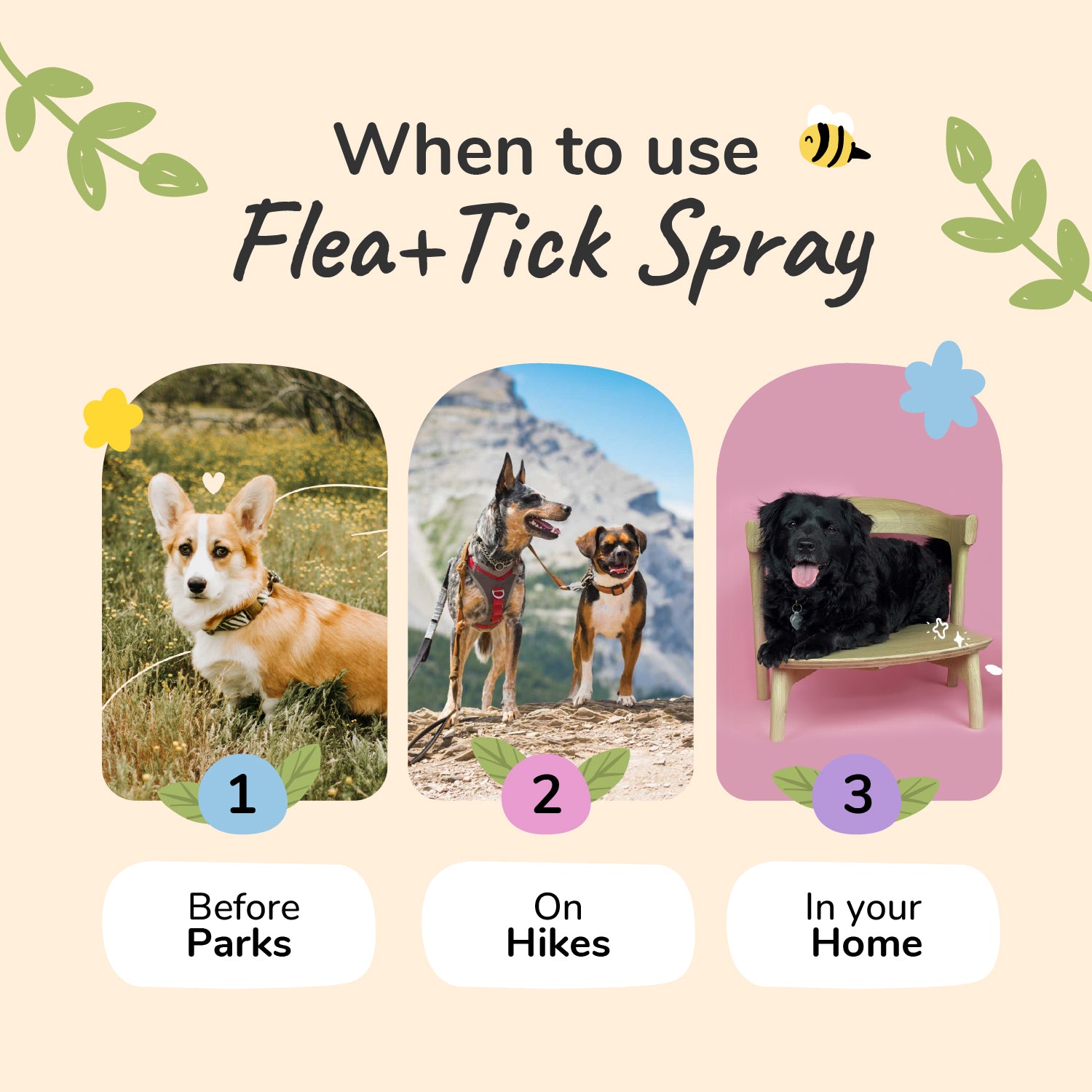 Flea|Tick Protect Spray (Lemongrass)