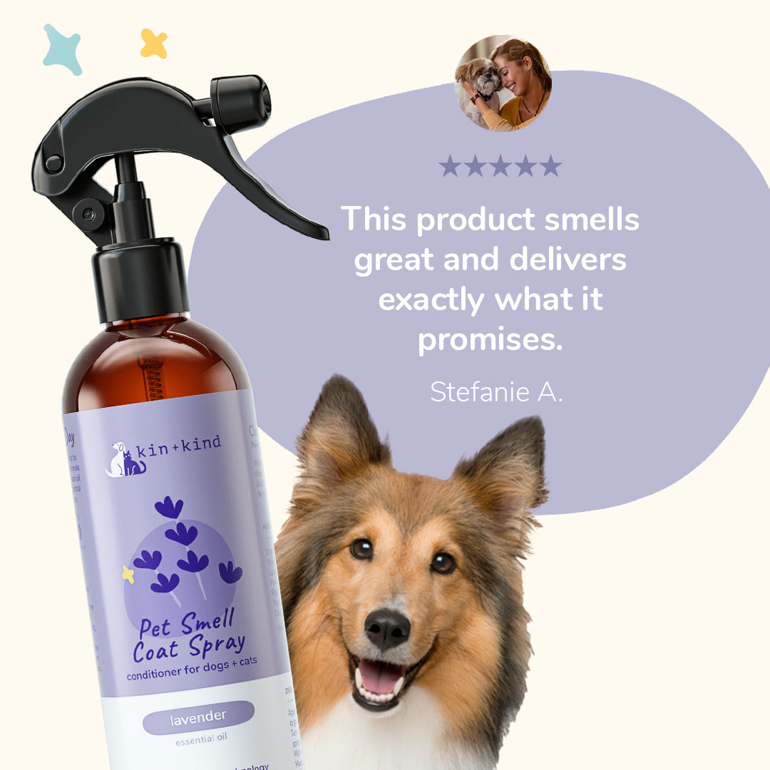 Dog smell hot sale neutralizer