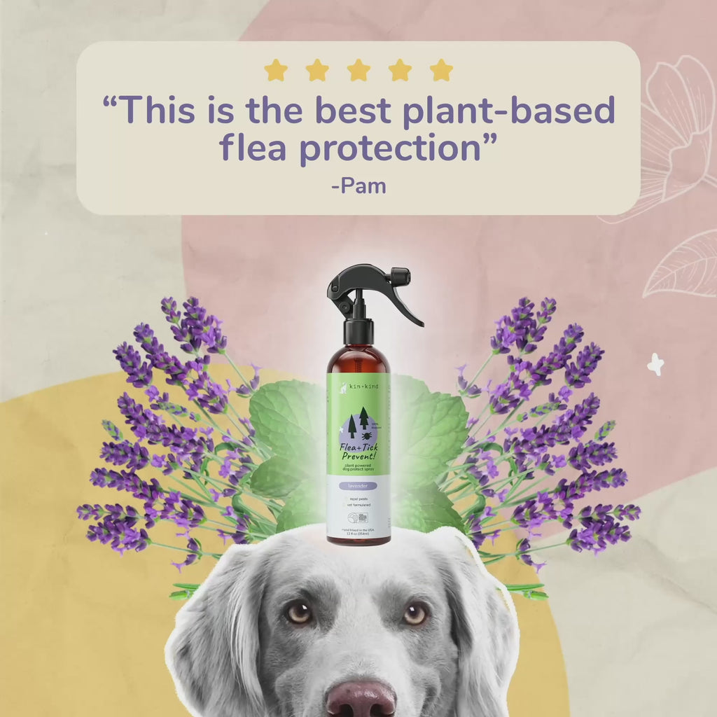 Flea+Tick Shampoo (Lavender) – kin+kind - Natural & Organic - Pet ...