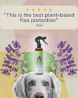 Flea|Tick Protect Spray (Lemongrass)