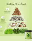 Organic Healthy Skin & Coat Supplement