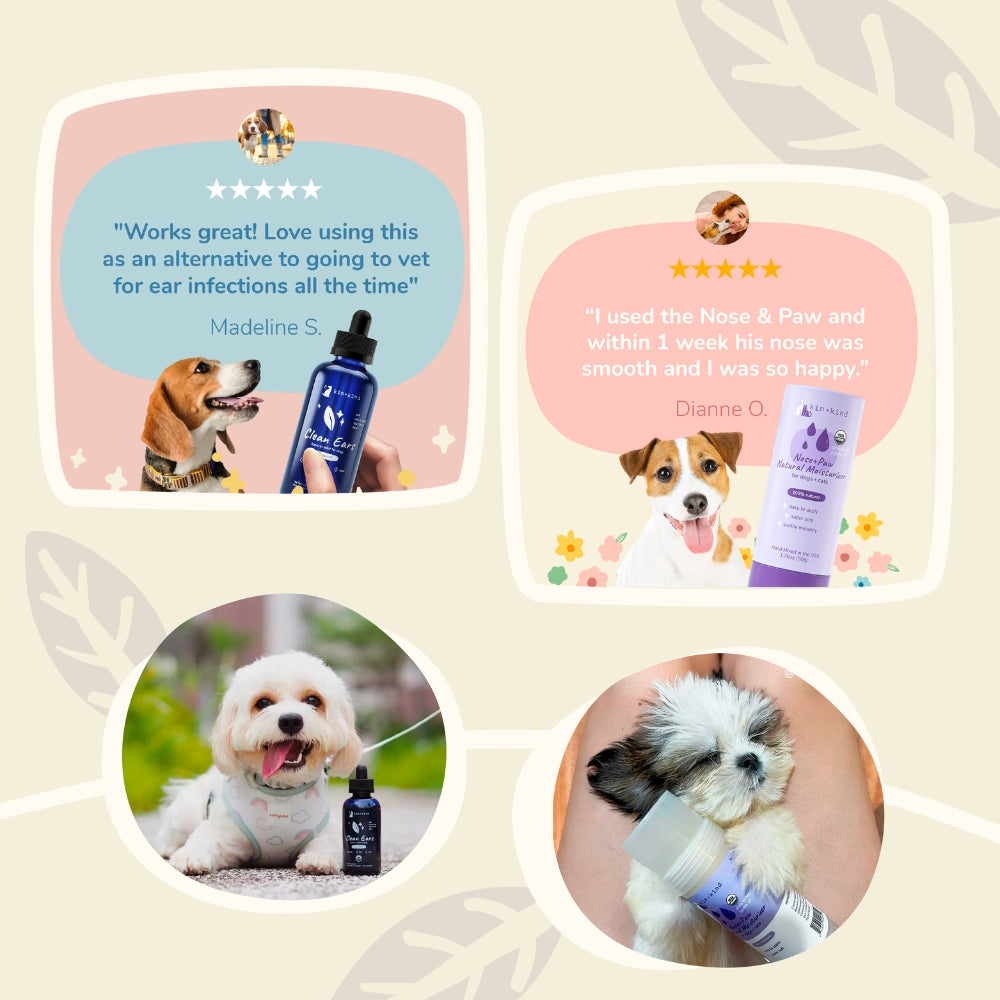 Lavender dog grooming sale