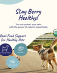 Organic Healthy Immunity Supplement