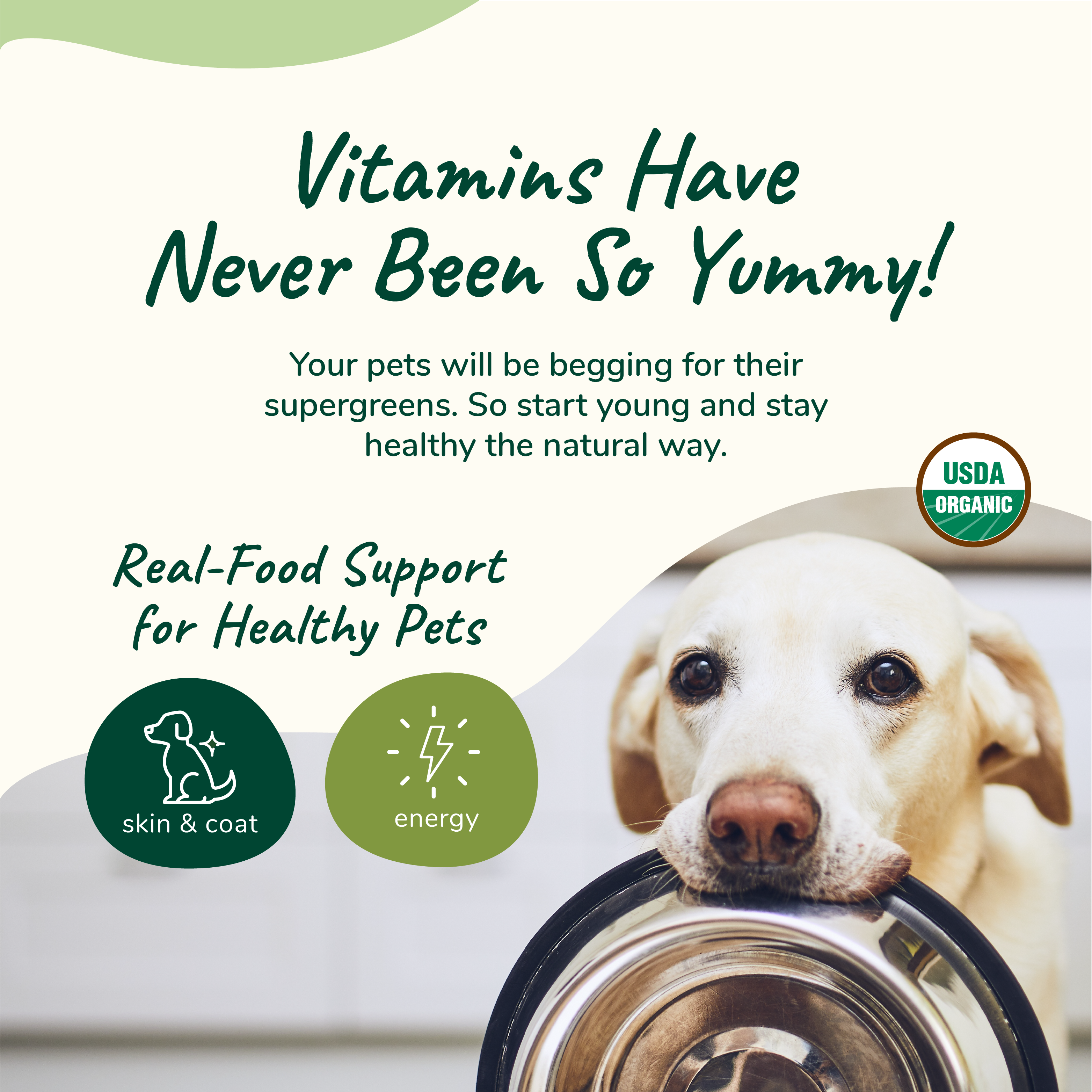 Organic Healthy Skin &amp; Coat Supplement