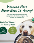 Organic Healthy Skin & Coat Supplement