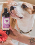 KIN ORGANICS Fig+Cedar (Oatmeal Itchy Dog Shampoo)